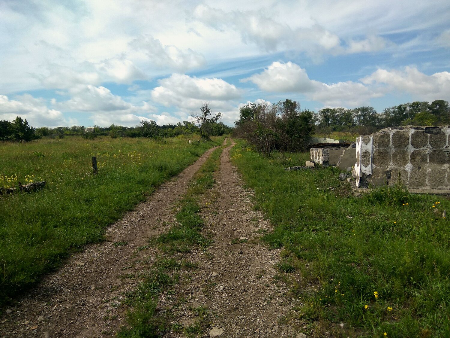 Photo #14088705