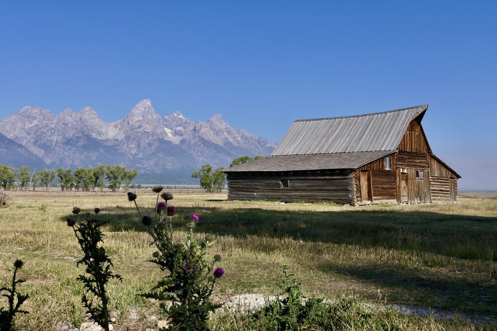 Old Ranch