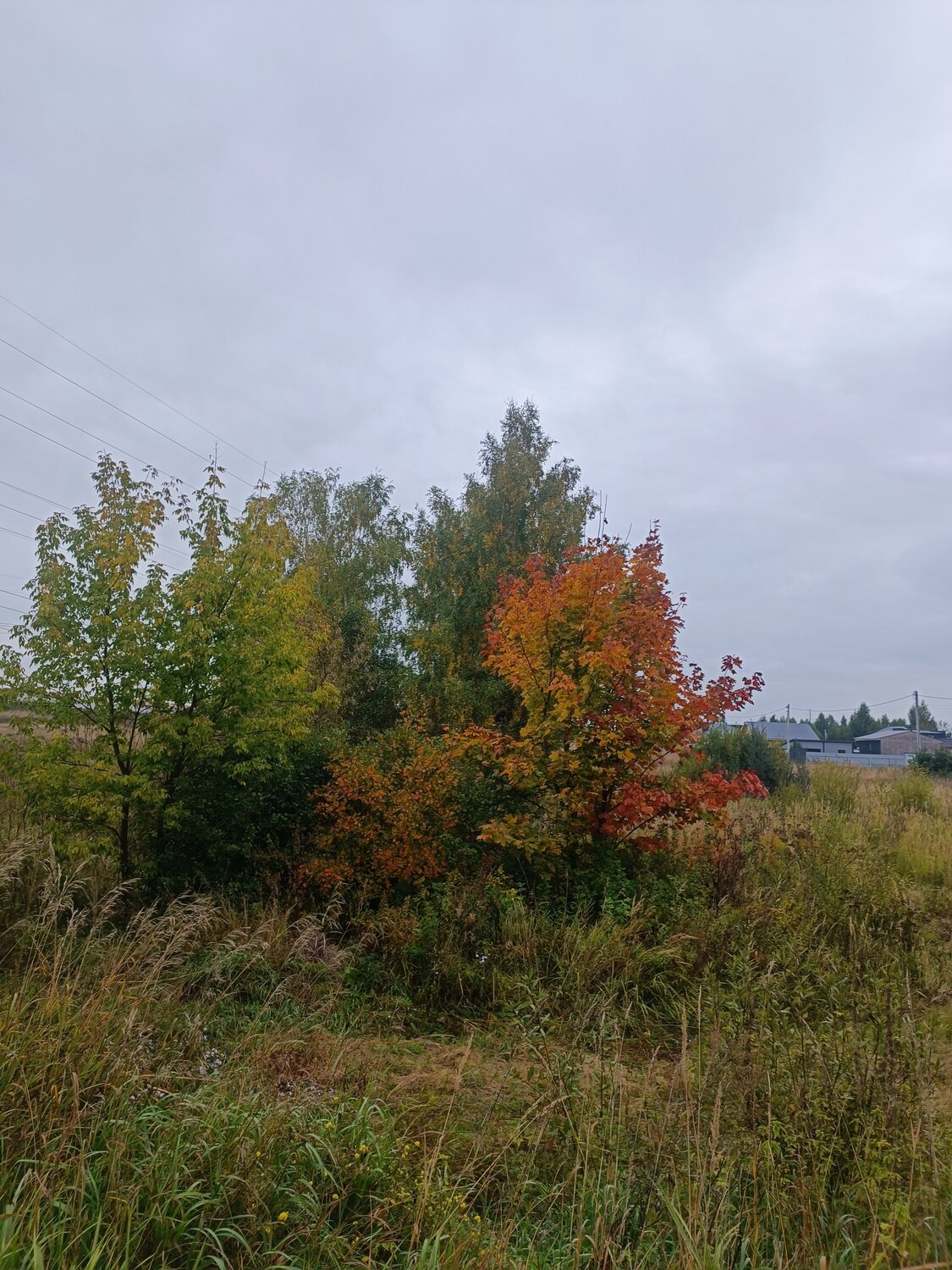 Photo #14088819