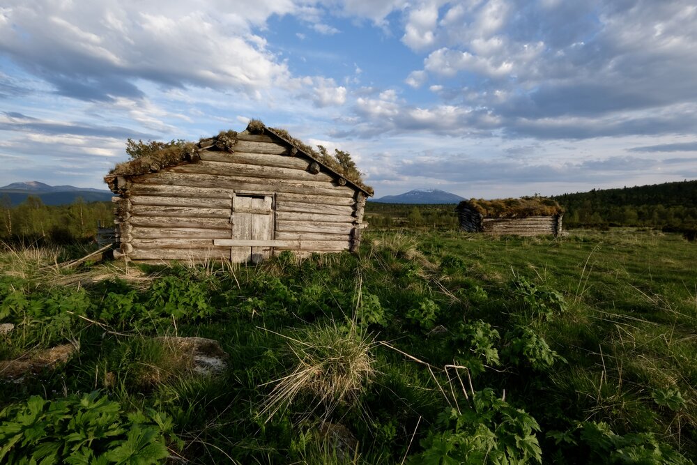 Overgrown roofs