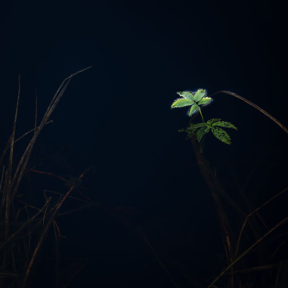 Photograph by Konstantin Kalinin