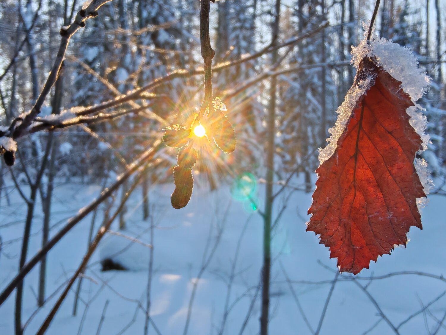 Photo #14088933