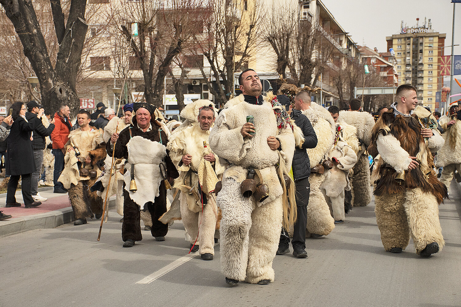 Photo #14088976