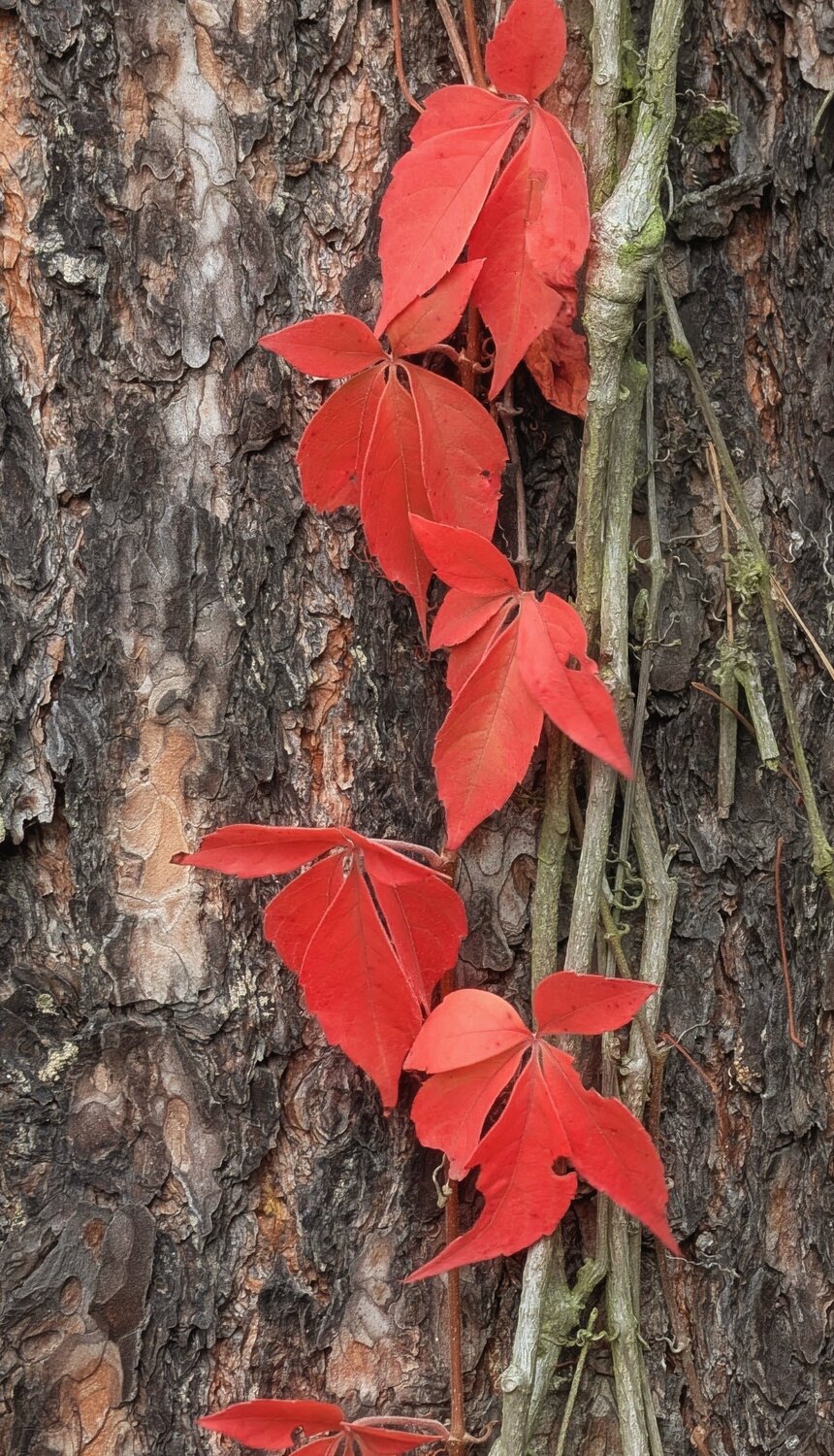 Photo #14089032