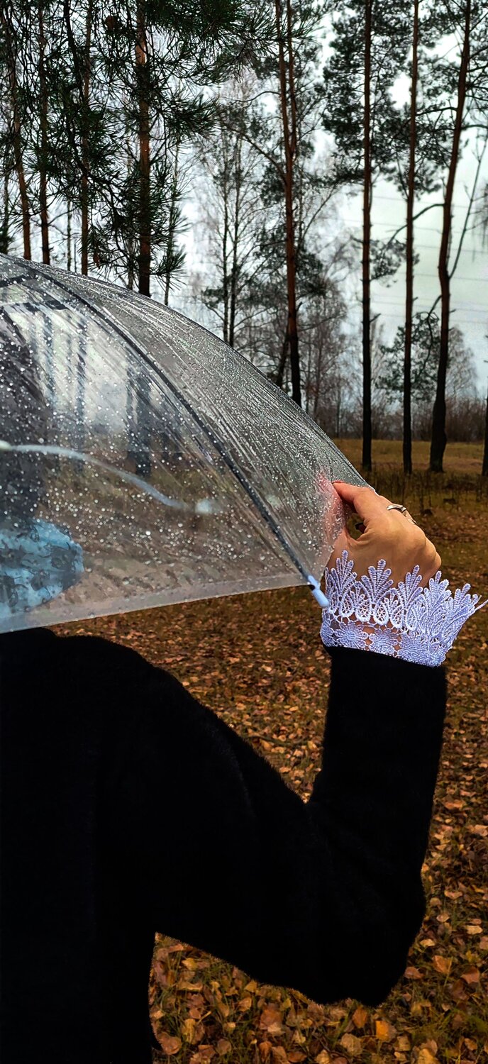 Photo #14089058