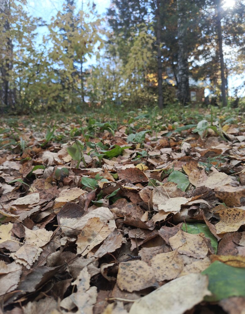 Photograph by Ольга Петрова