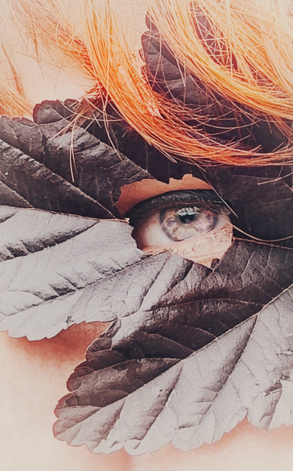 Photo #14089095