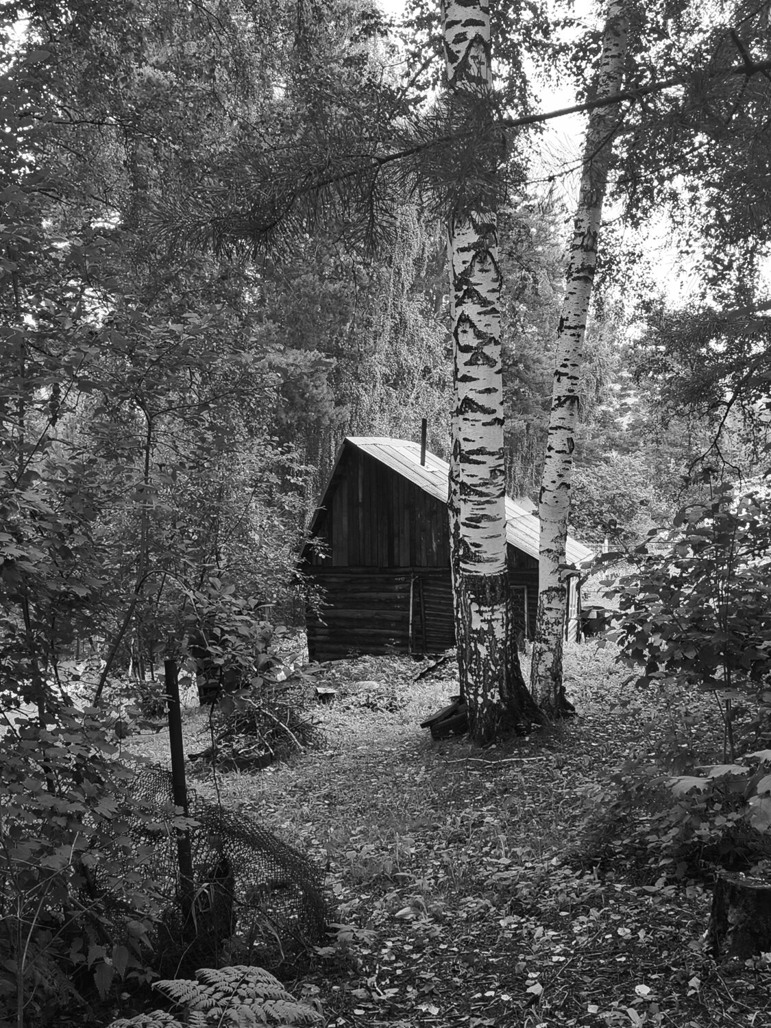 Photo #14089097