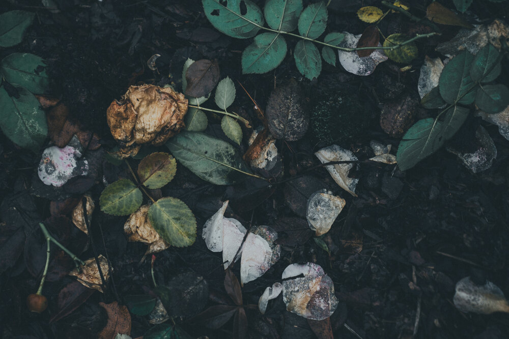 Photograph by Натали Захарова (Тай)