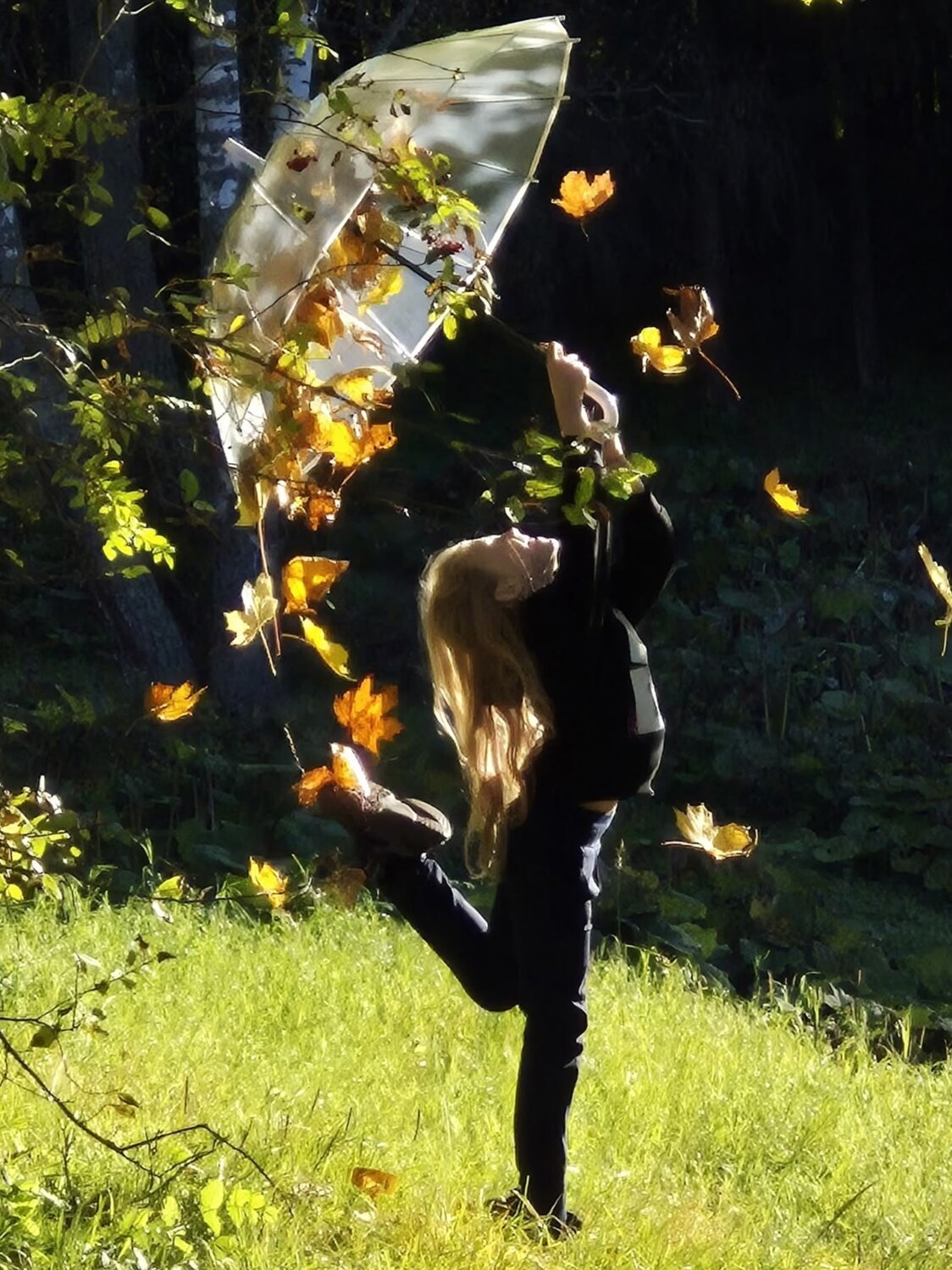 Photo #14089168