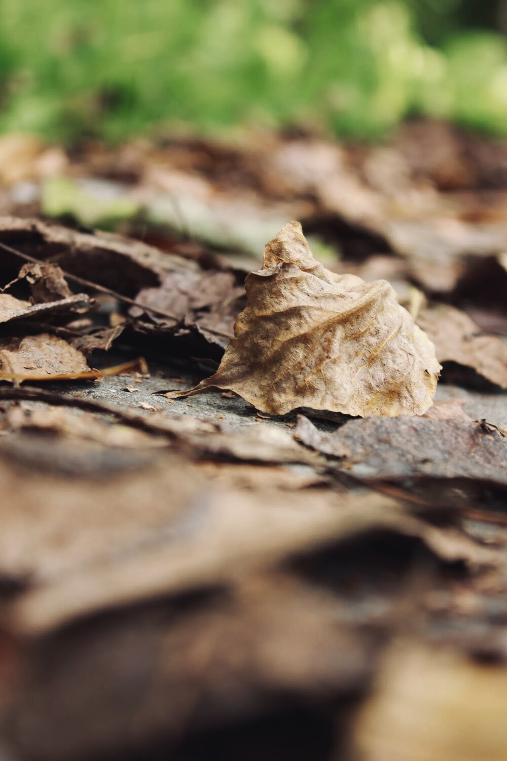 Photo #14089189