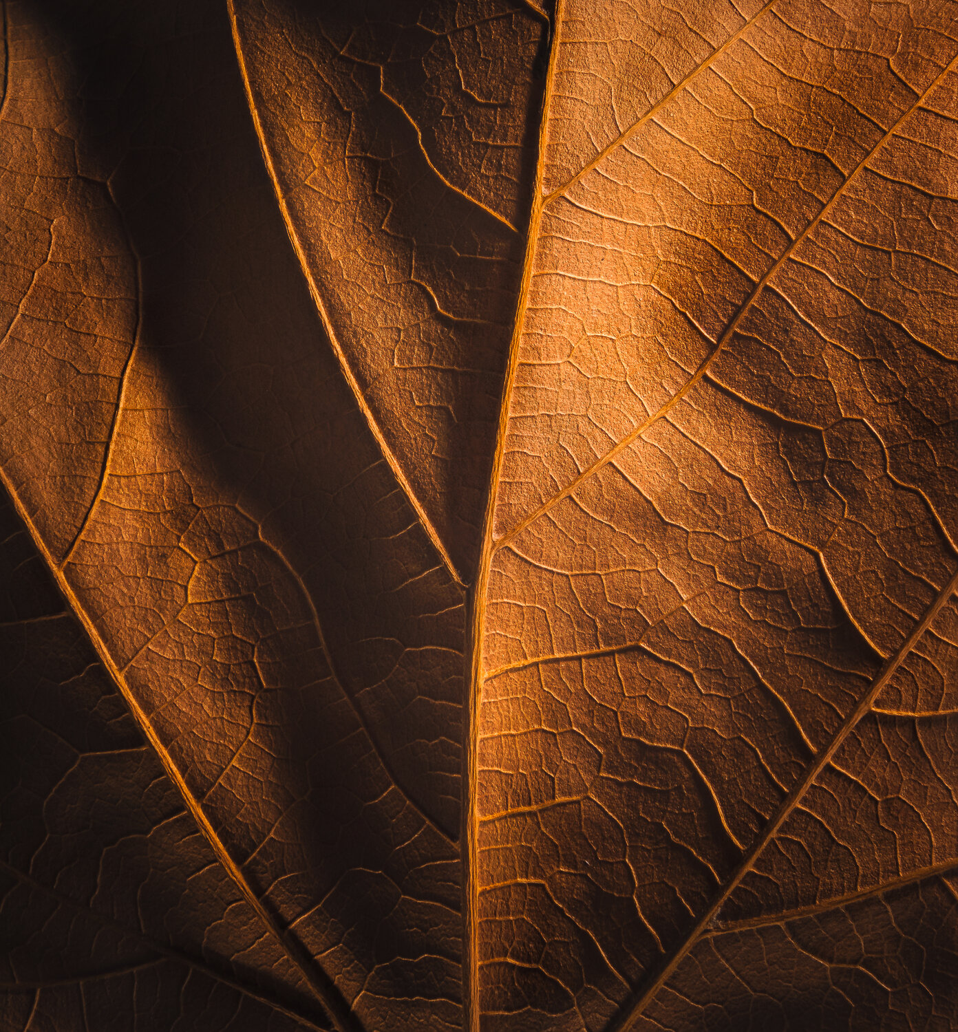 \"When Autumn Learns to Whisper\"