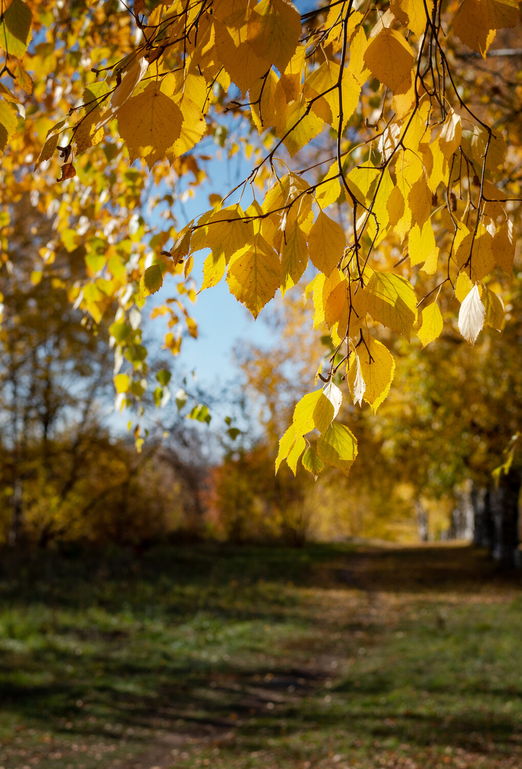 Photo #14089225