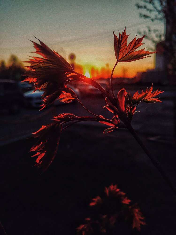 Photograph by Наталья Веряскина