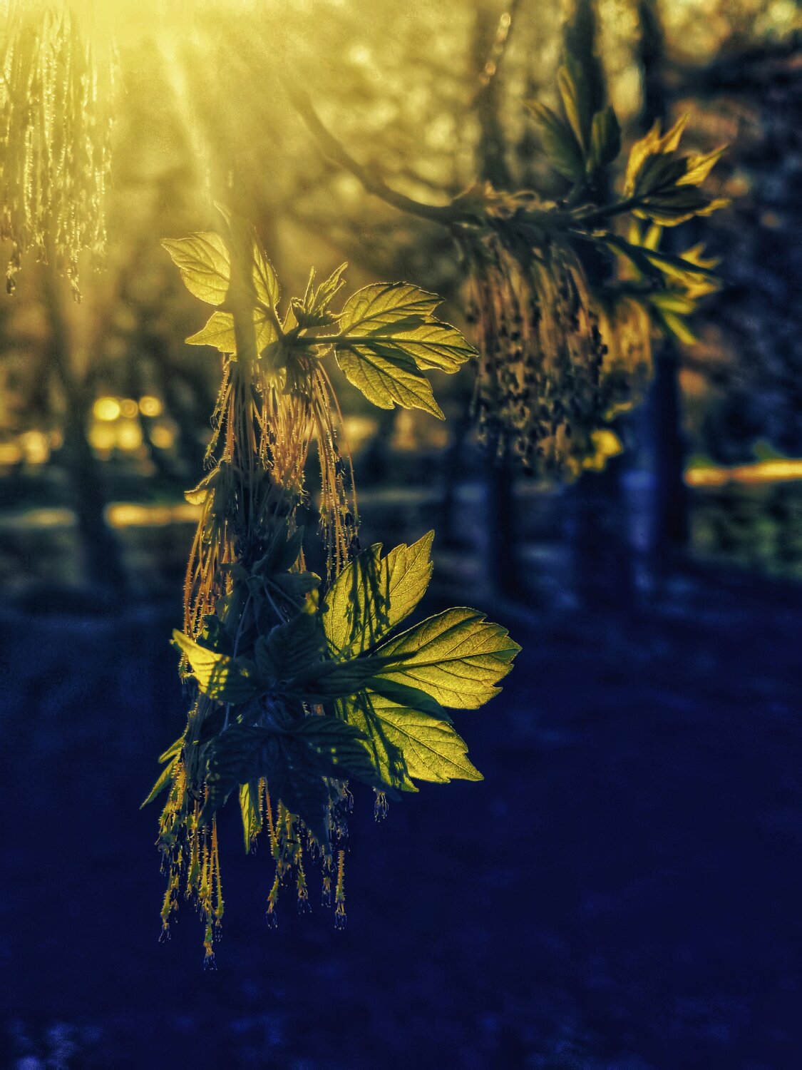 Photo #14089262