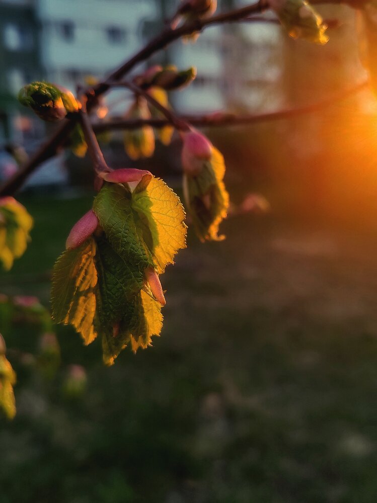 Photograph by Наталья Веряскина