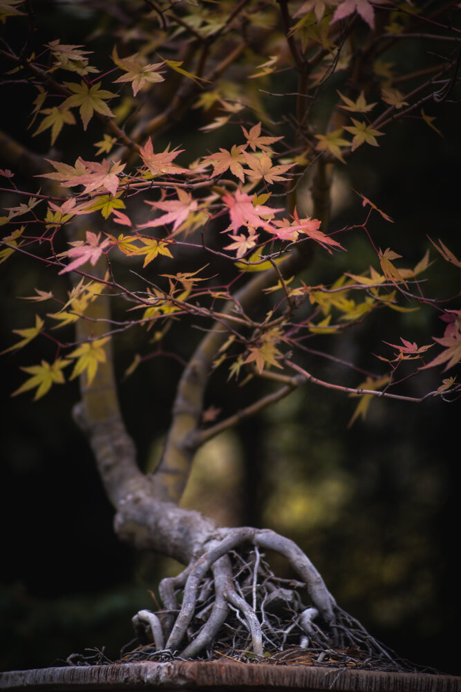 Photograph by Данил Баглаев