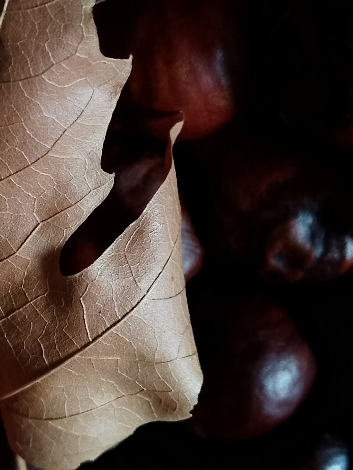 Photo #14089443