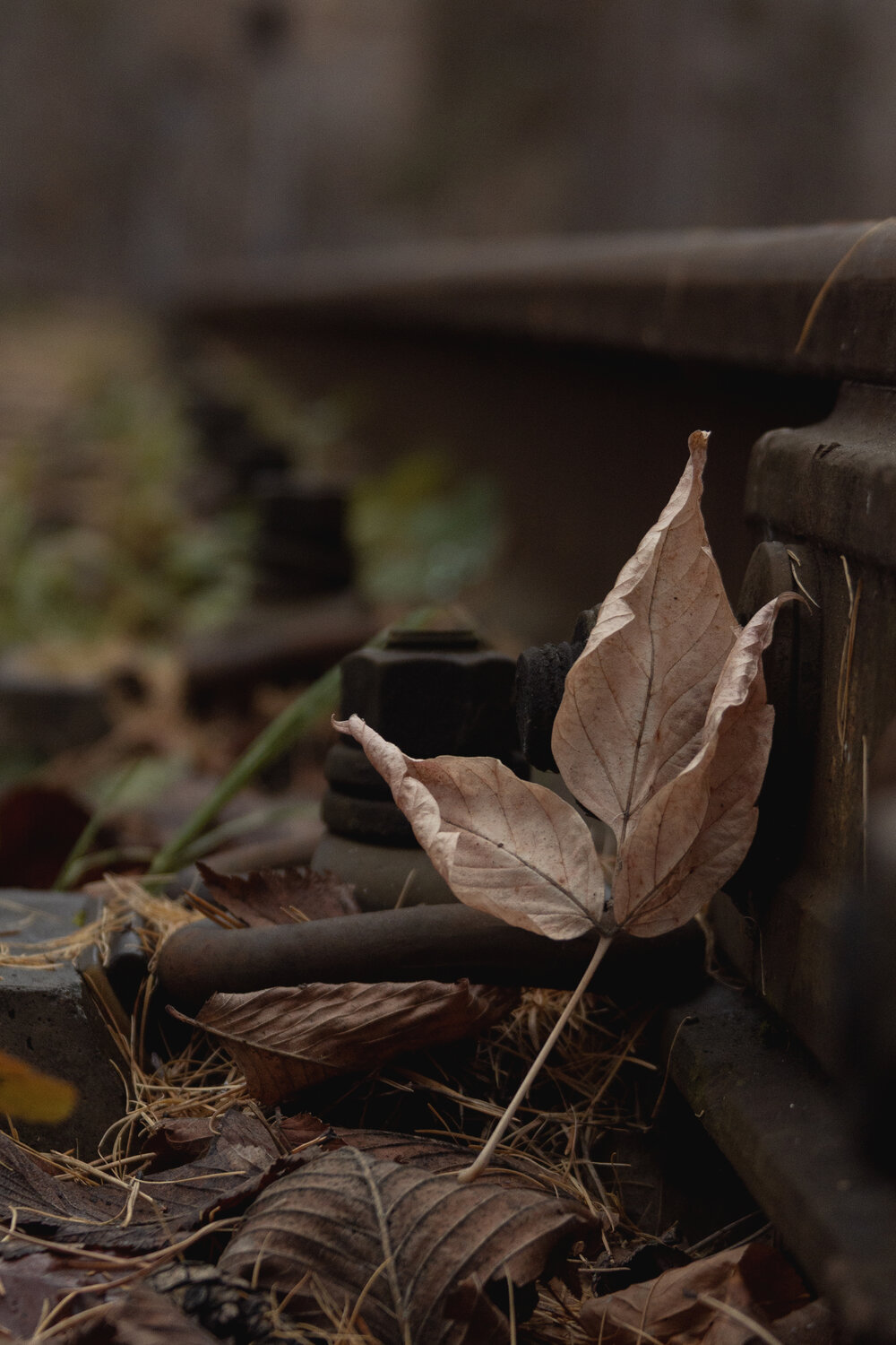 Photo #14089466