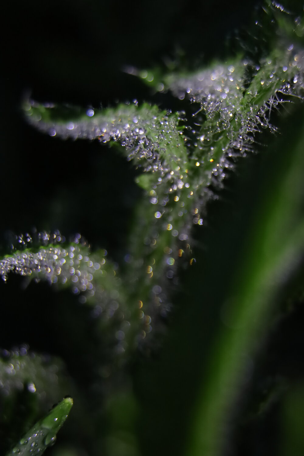 Photo #14089489