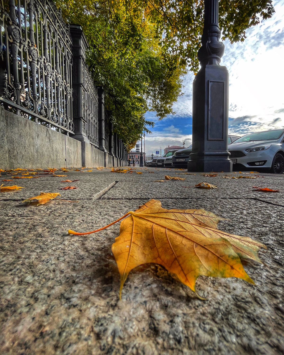 Photo #14089526