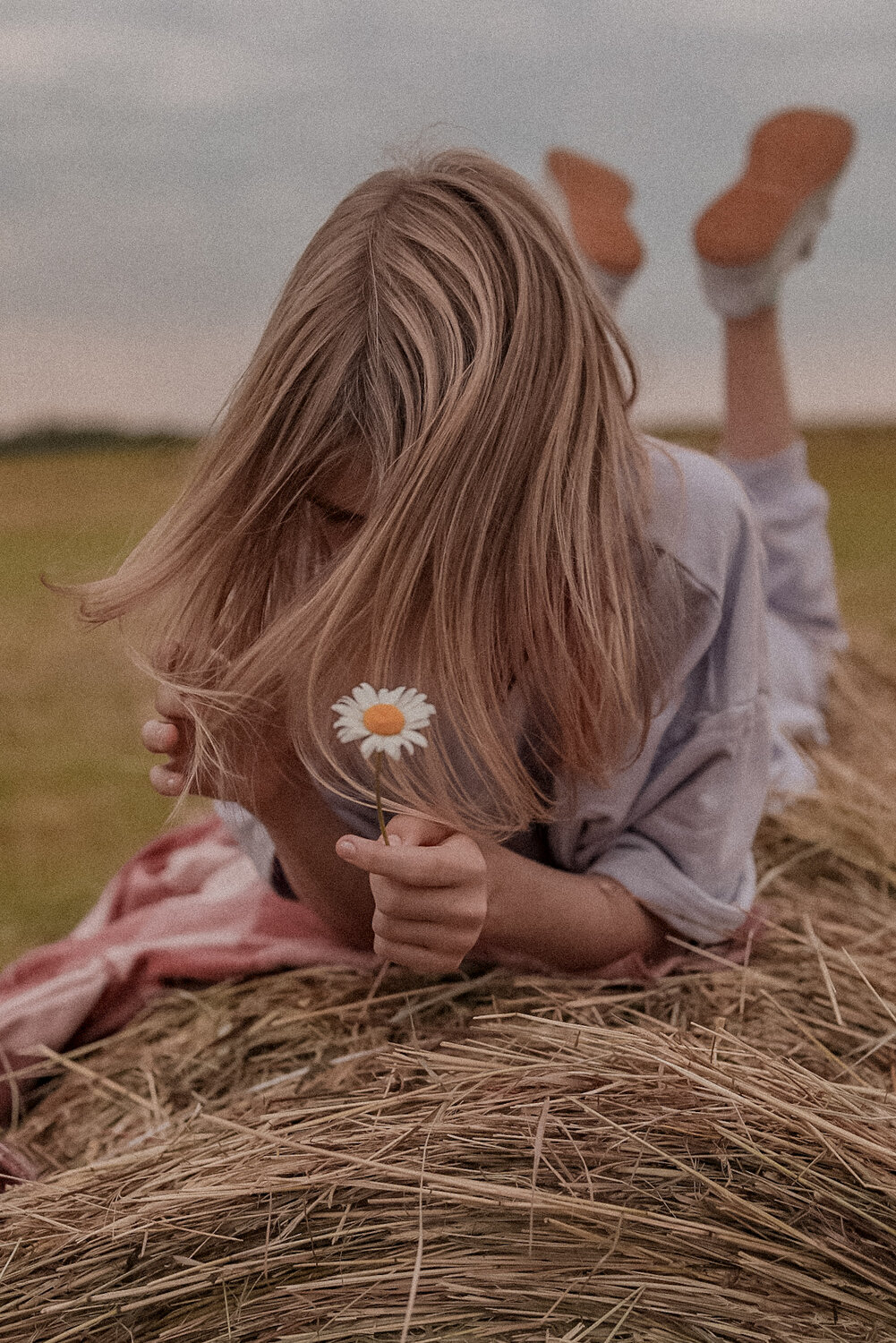 Photo #14089546