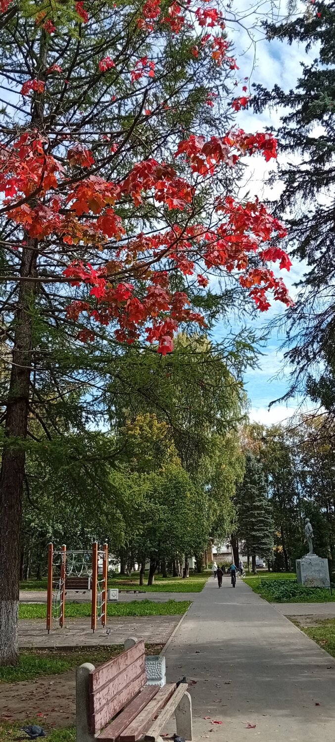 Photo #14089557