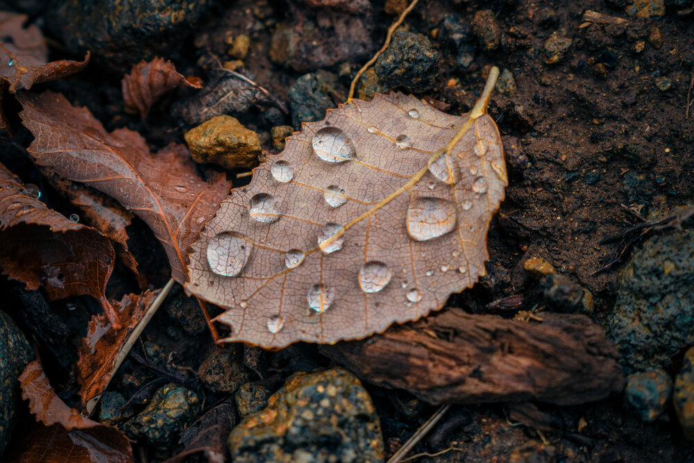 Photograph by Fernando Gabriel Castro Ortiz