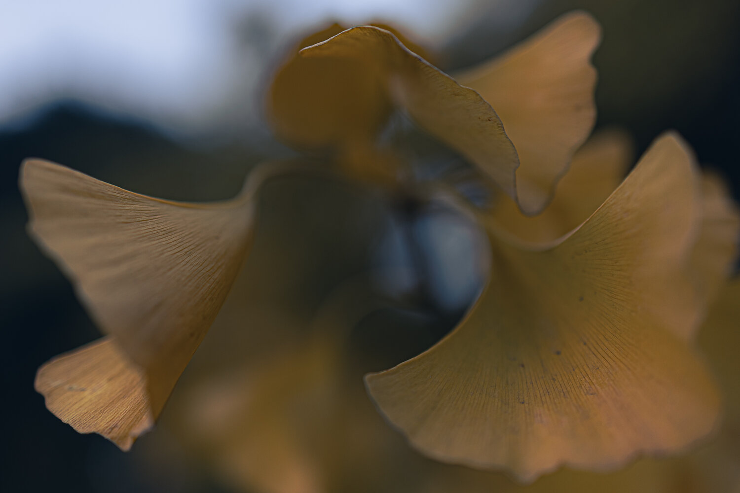 Photo #14089704