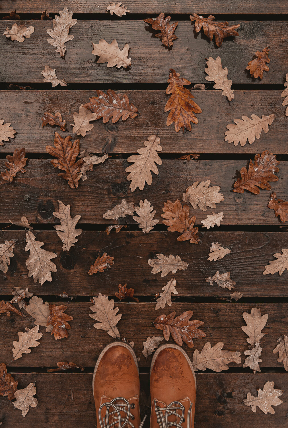 Photo #14089768
