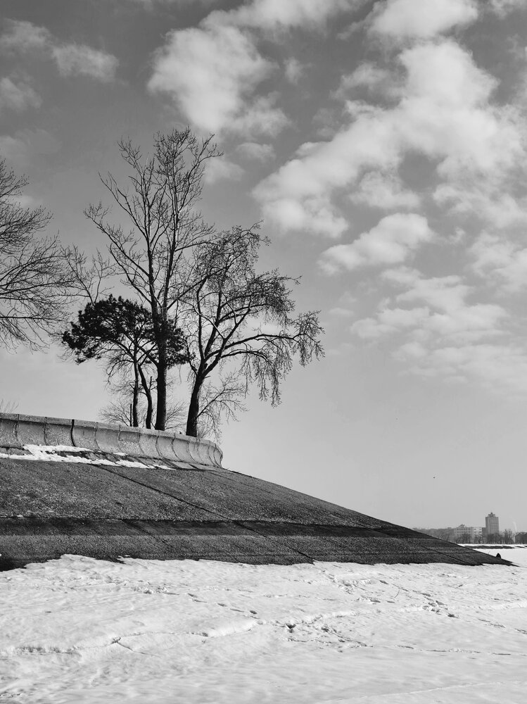 Photograph by Юрий Звонарев