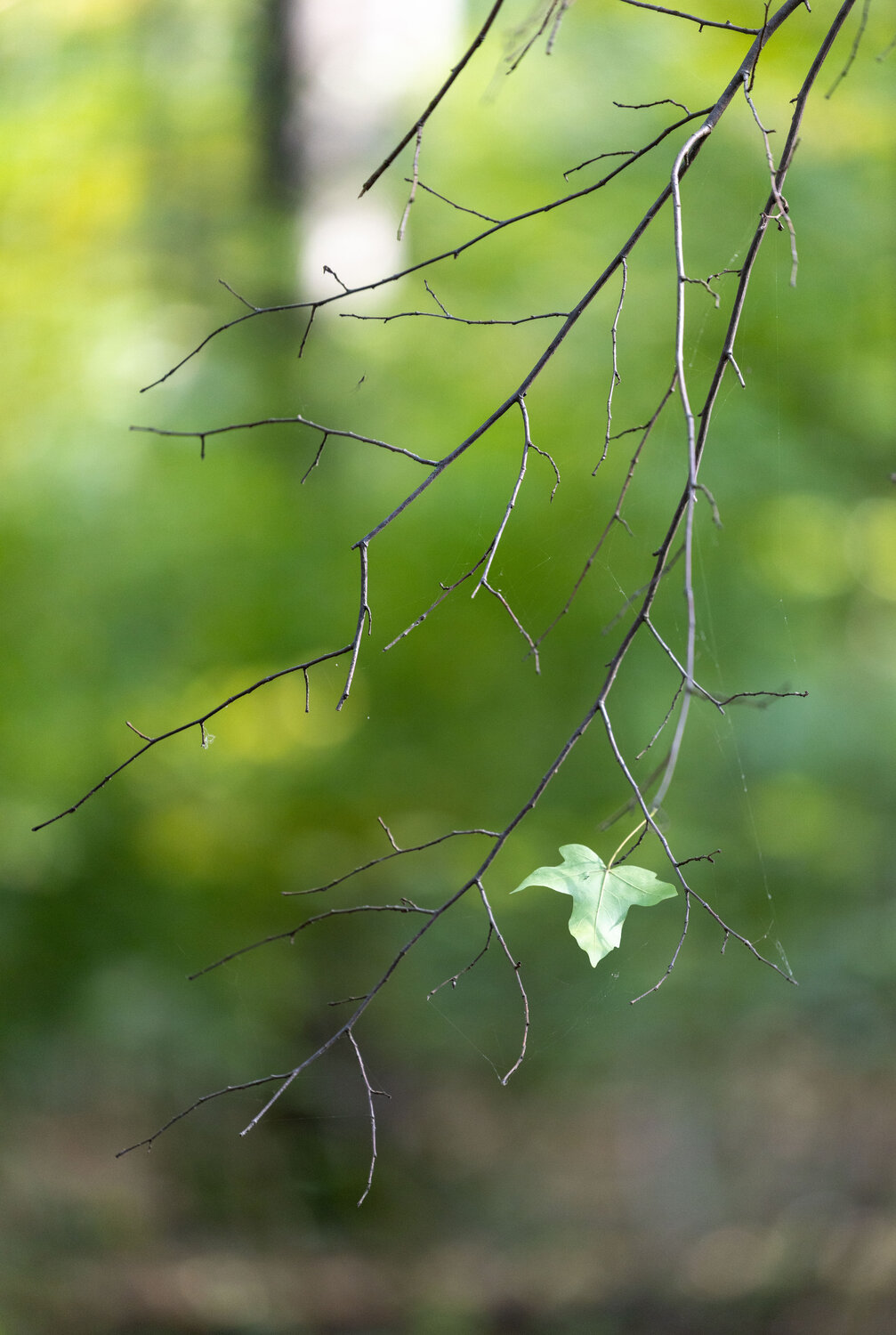 Photo #14089813