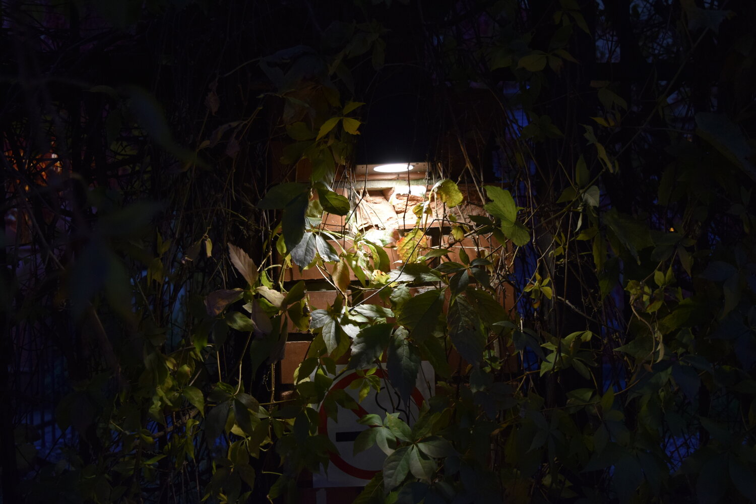 Photo #14089903