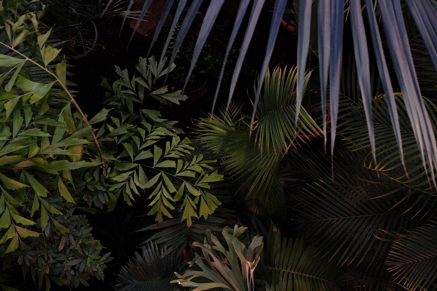 Photo #14089905