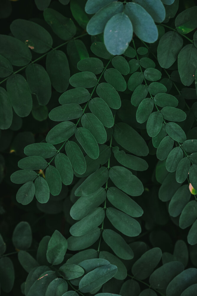 Photograph by Илья Малеев