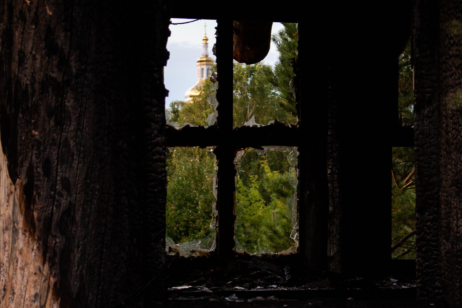 Photo #14089958