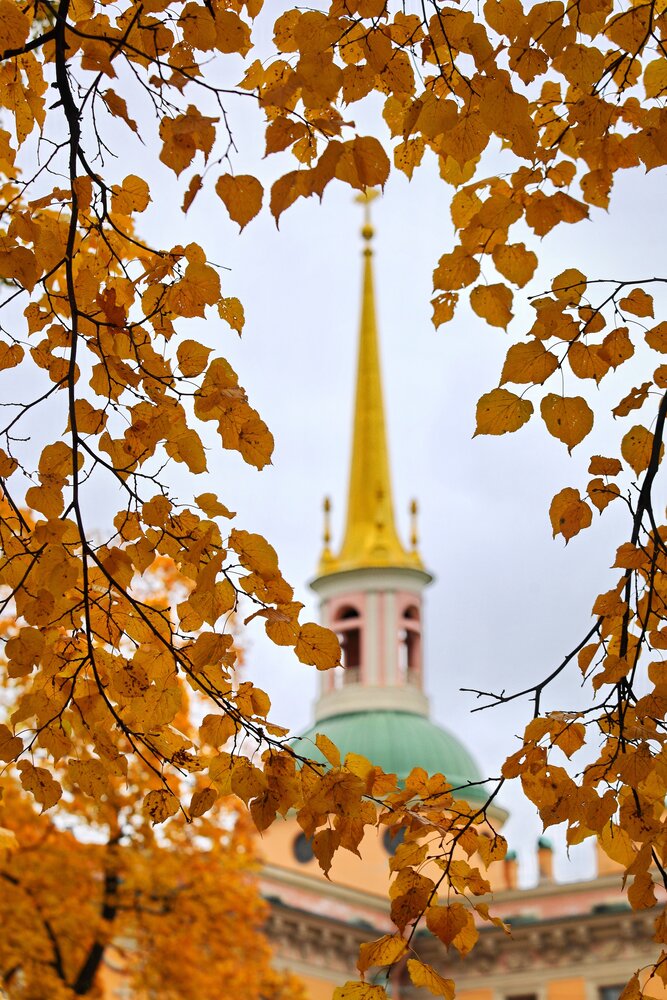 Photograph by Татьяна Бравая
