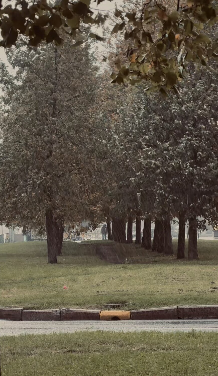 Photo #14089970