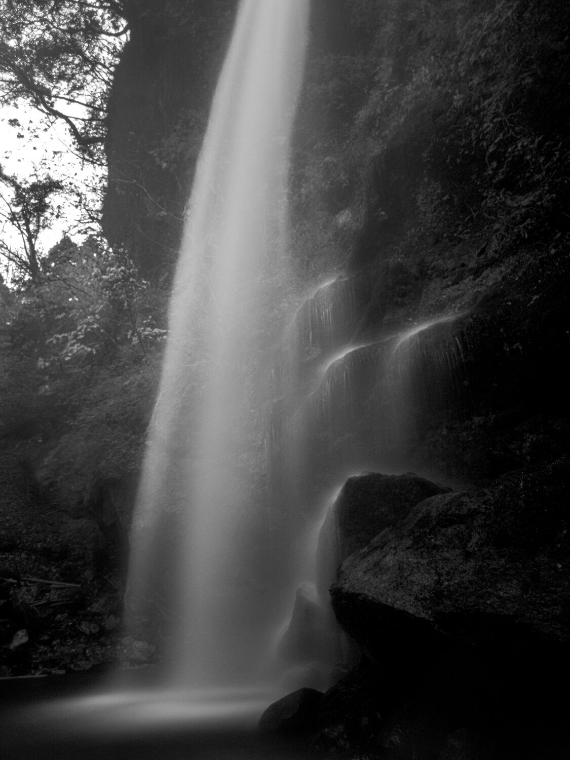 Photo #14090034