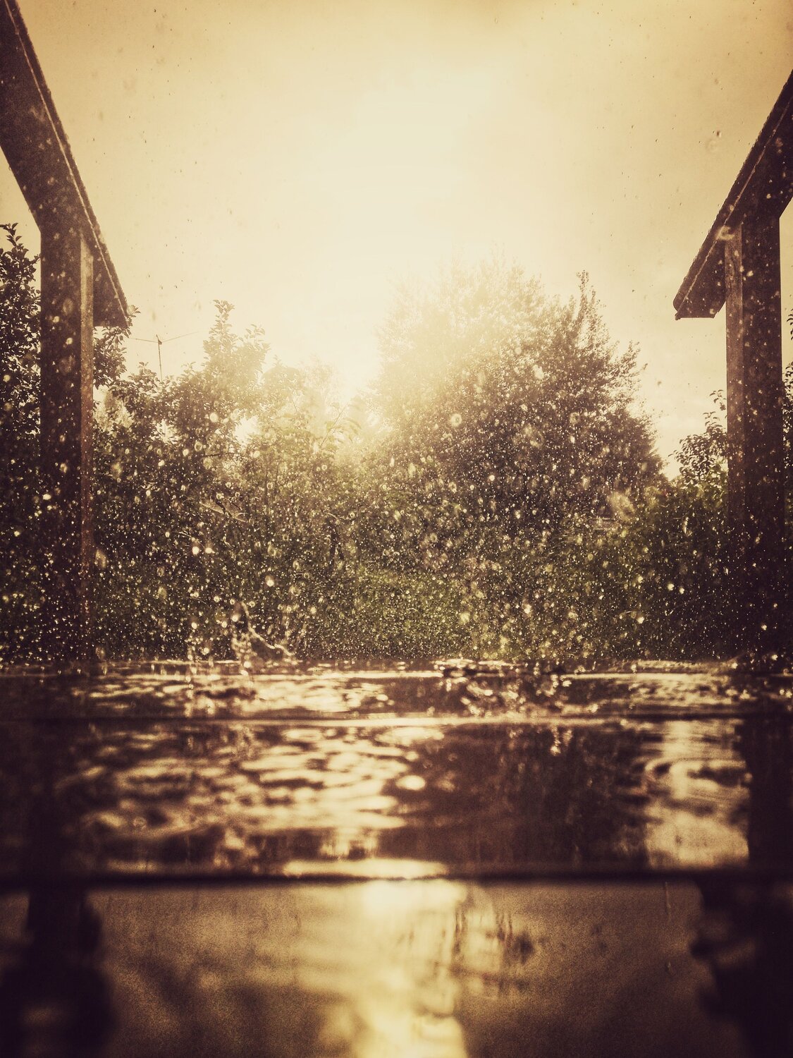 Photo #14090055