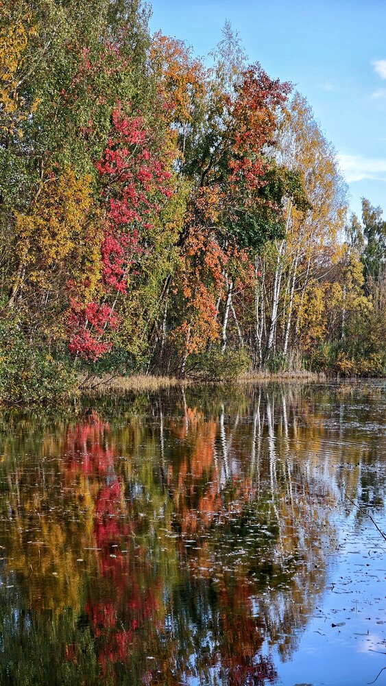 Photograph by Вадим Сташкевич