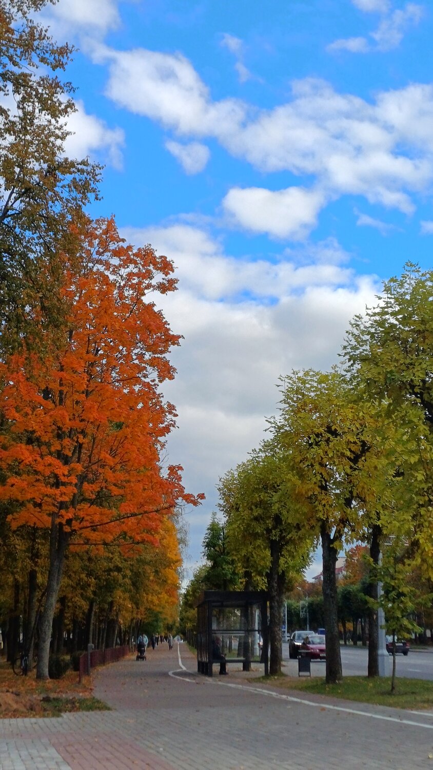 Photo #14090130