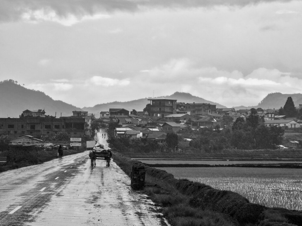 Photograph by Ismail Hassanaly