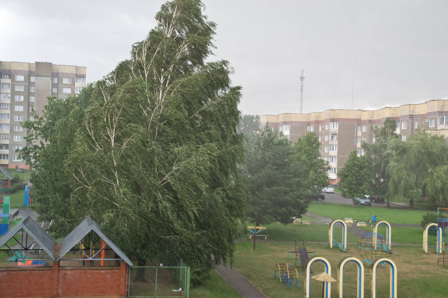 Photo #14090294