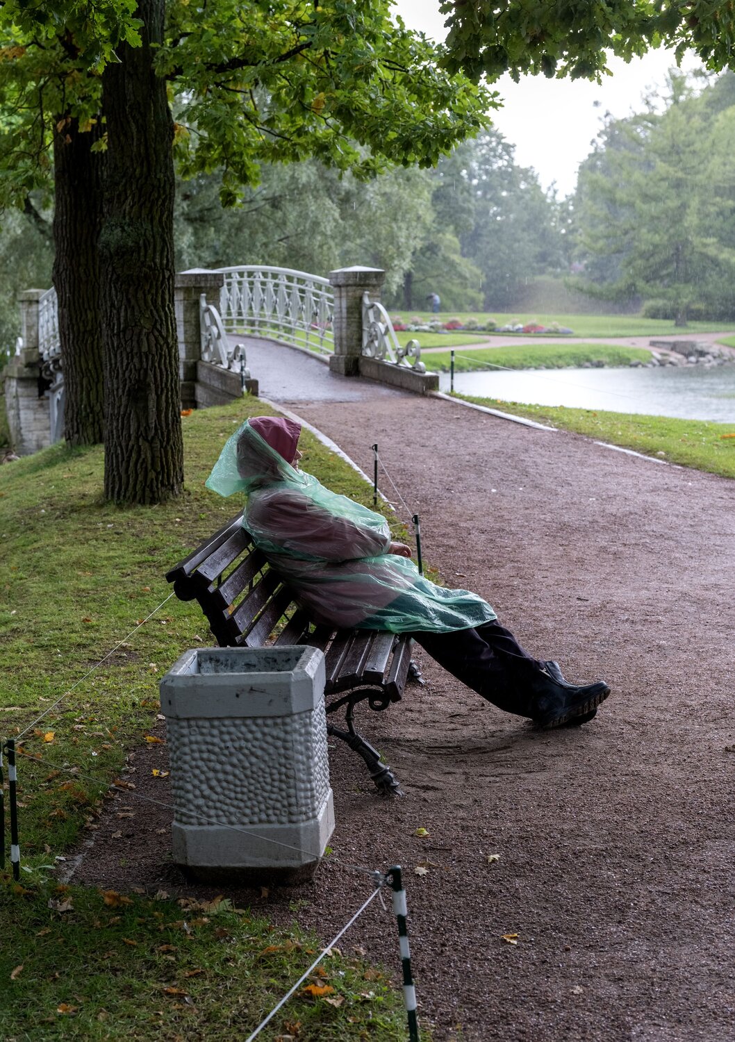Photo #14090346