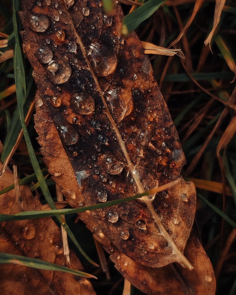 Photograph by Екатерина Сенько