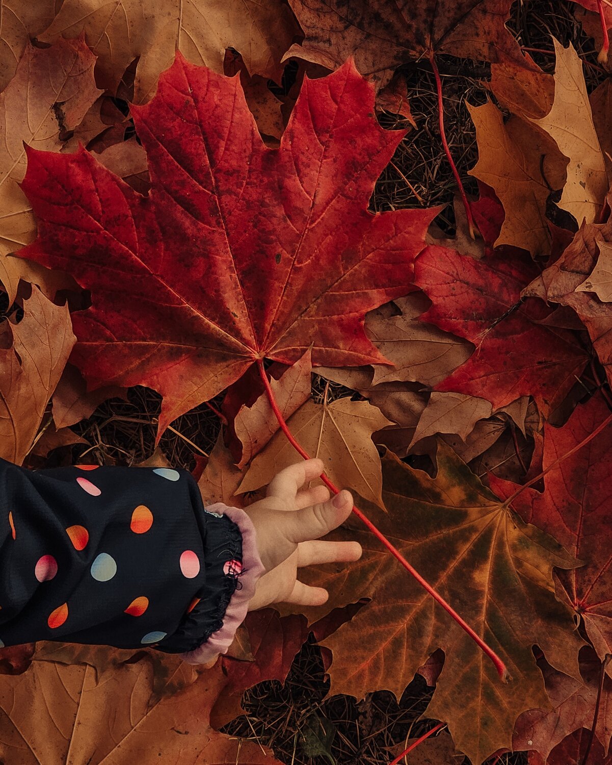 Photo #14090424