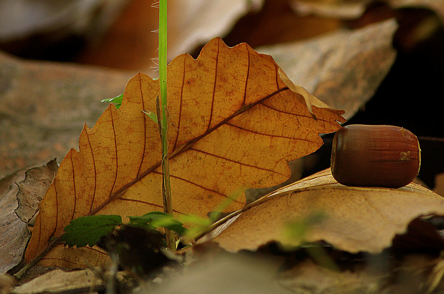 Photo #14090497