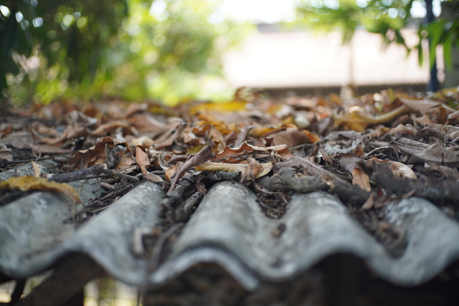 Photo #14090528