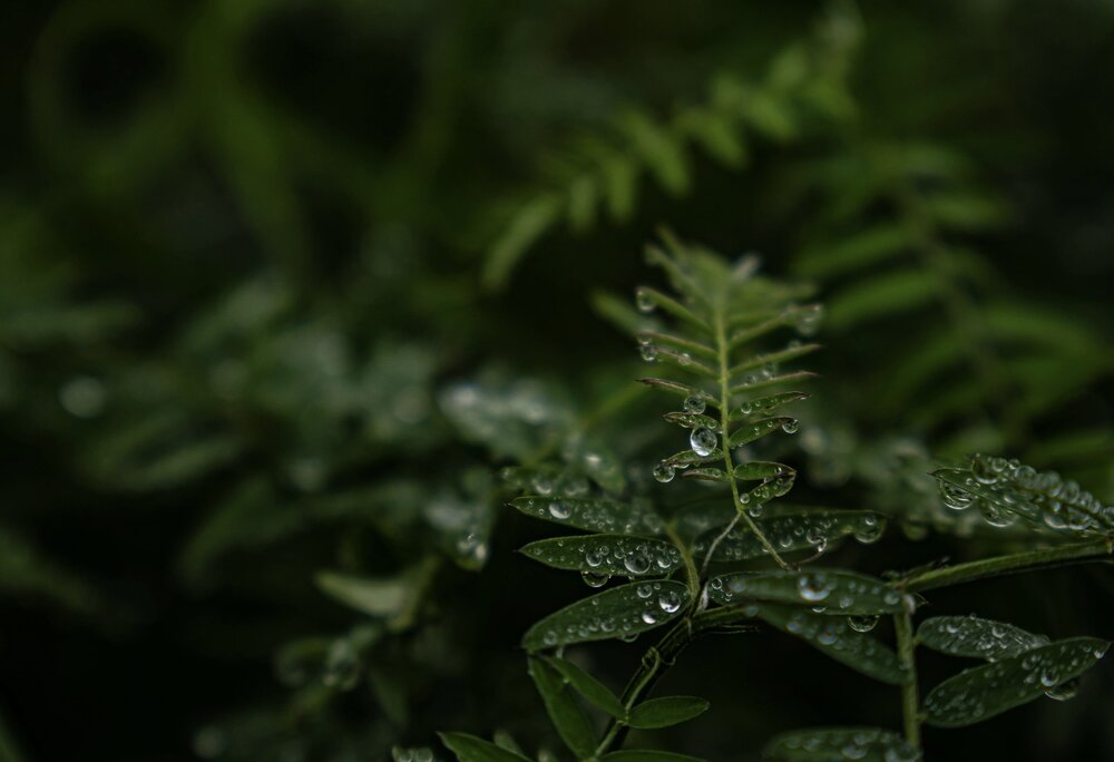 Photograph by Елизавета Нефедова